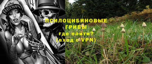круглые Щигры