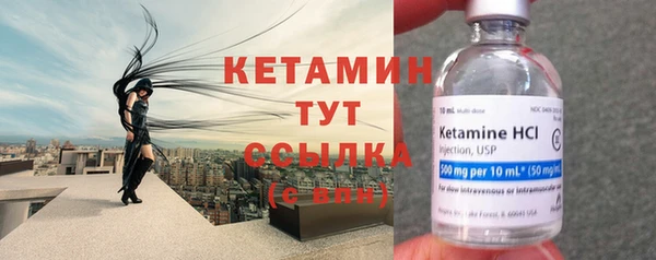 трава Инта