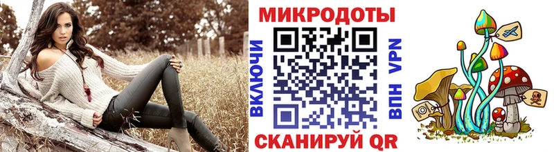 Псилоцибиновые грибы мицелий Камешково
