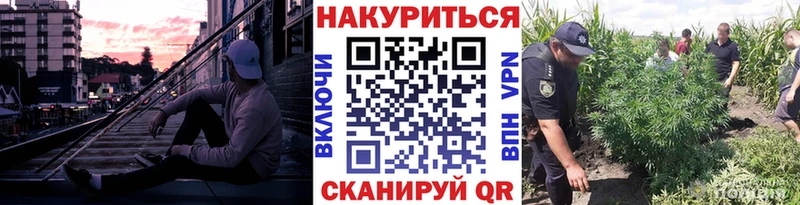 Бошки Шишки THC 21%  Камешково 